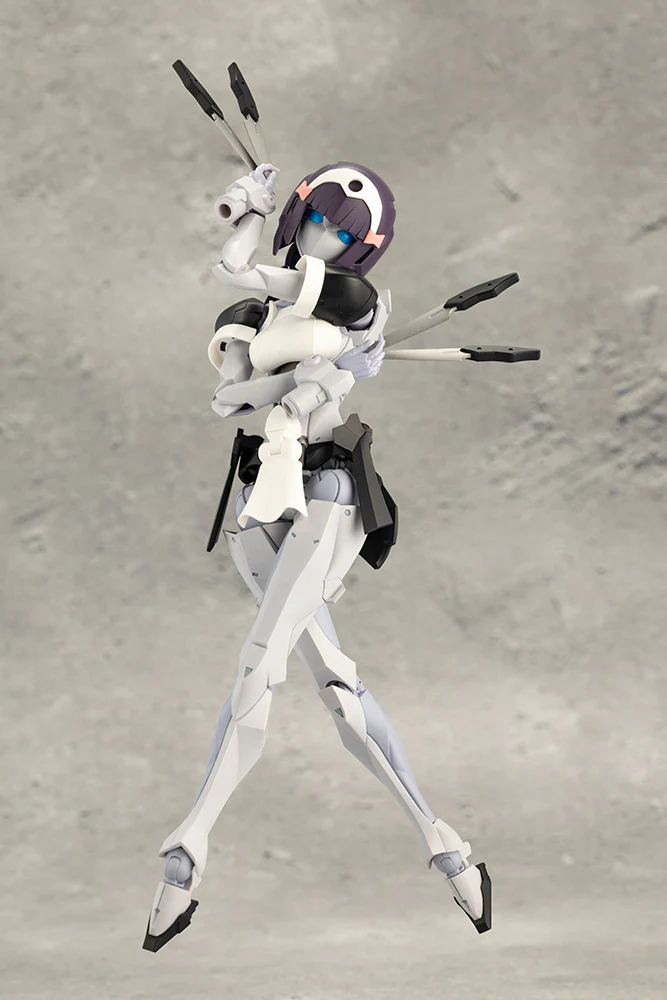 NOVICE - Image 13