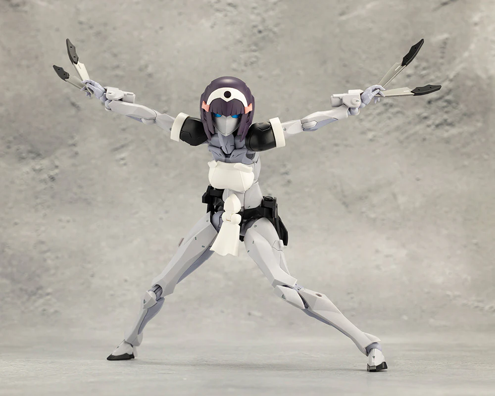 NOVICE - Image 14