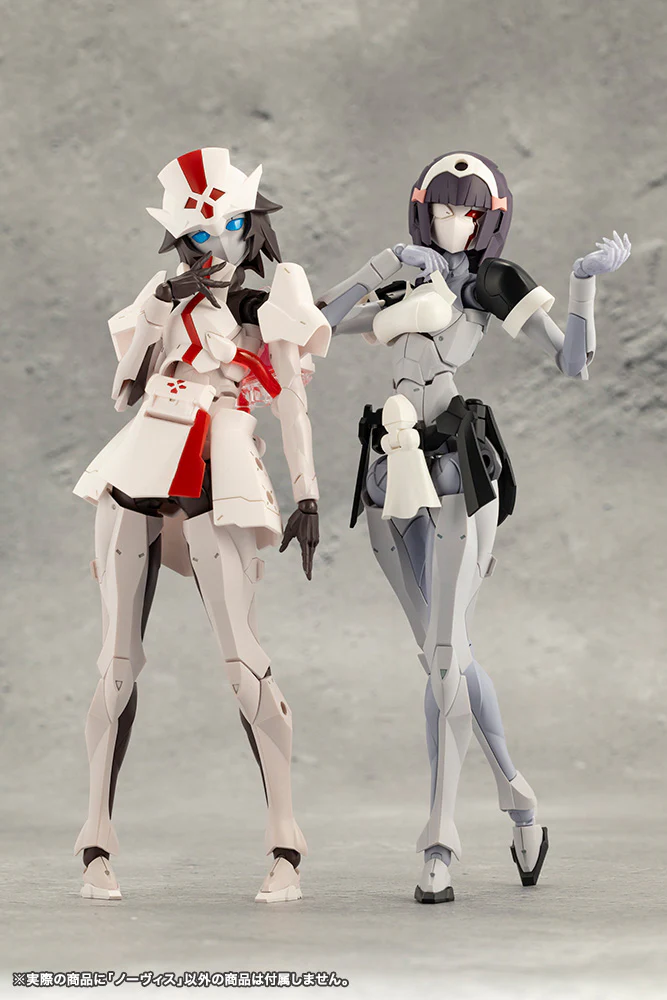 NOVICE - Image 22