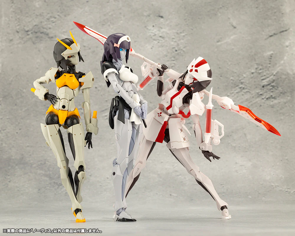 NOVICE - Image 23