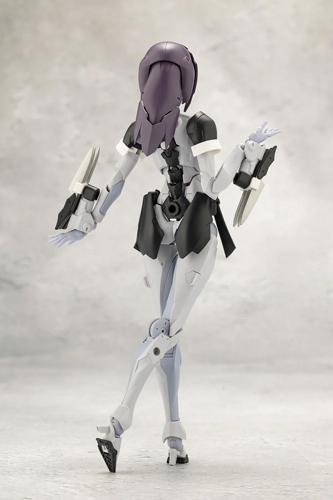 NOVICE - Image 3