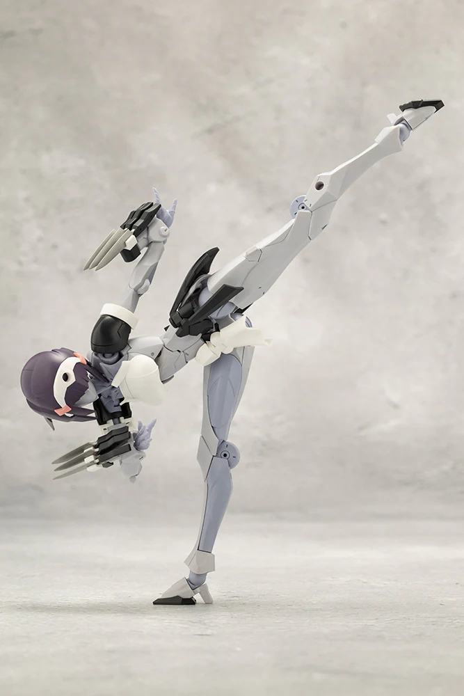 NOVICE - Image 4