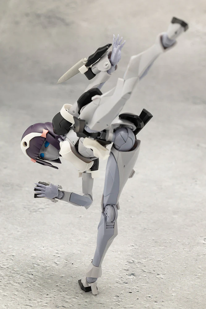 NOVICE - Image 5
