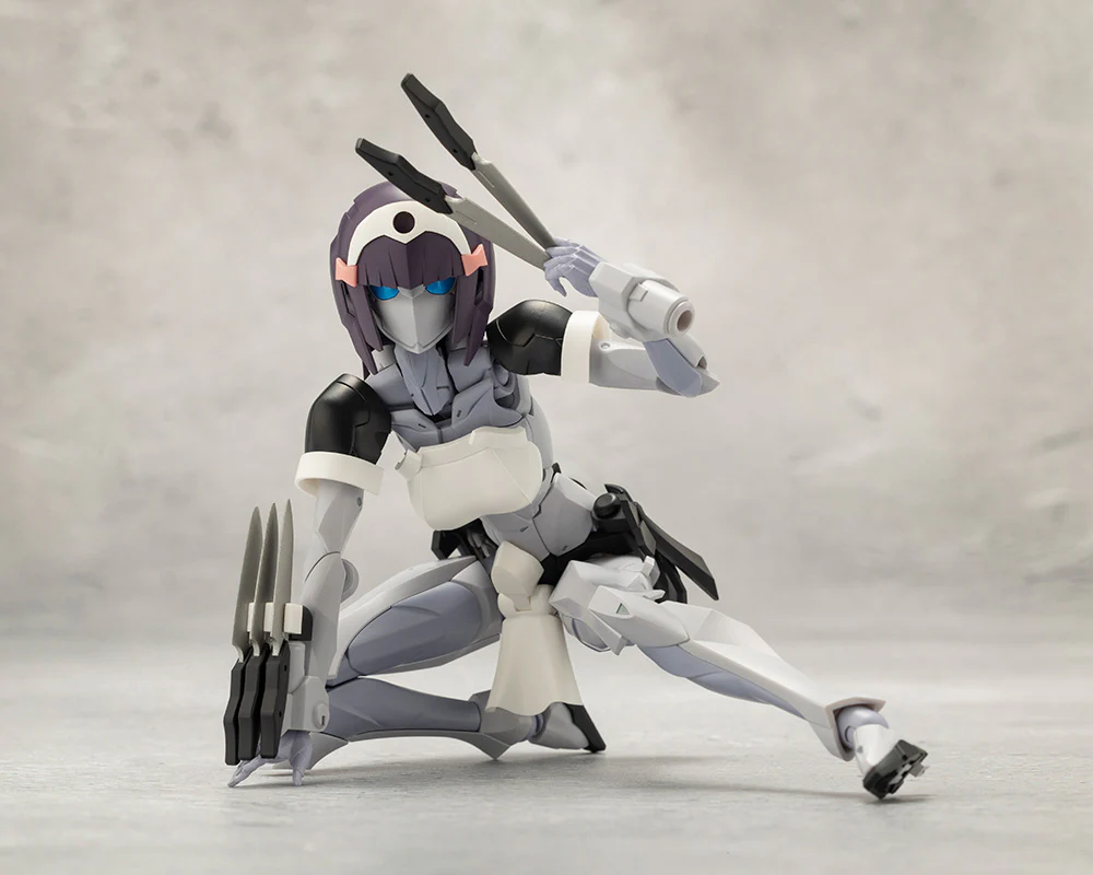 NOVICE - Image 6