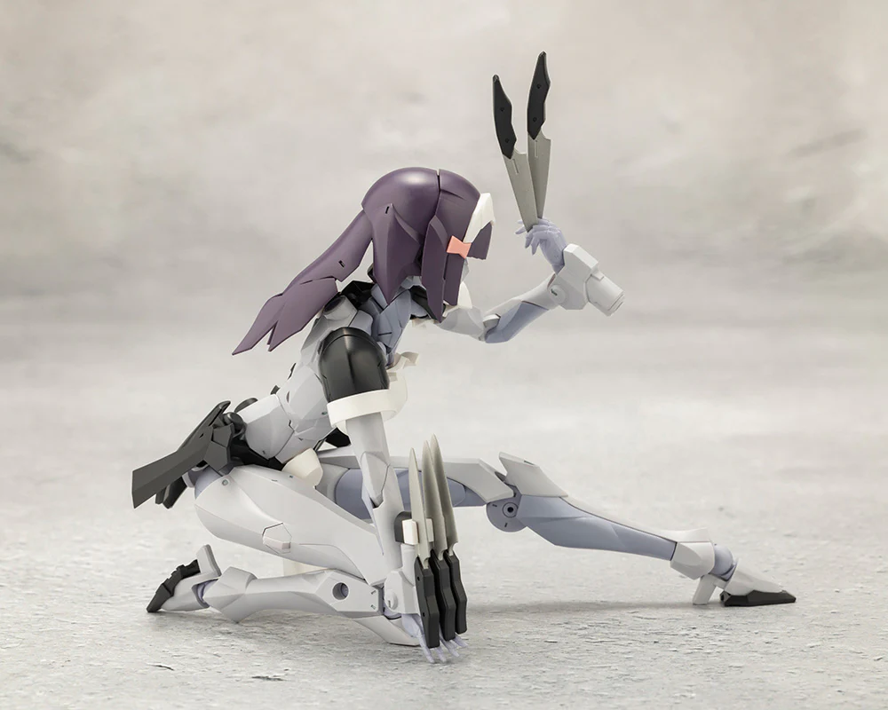 NOVICE - Image 7